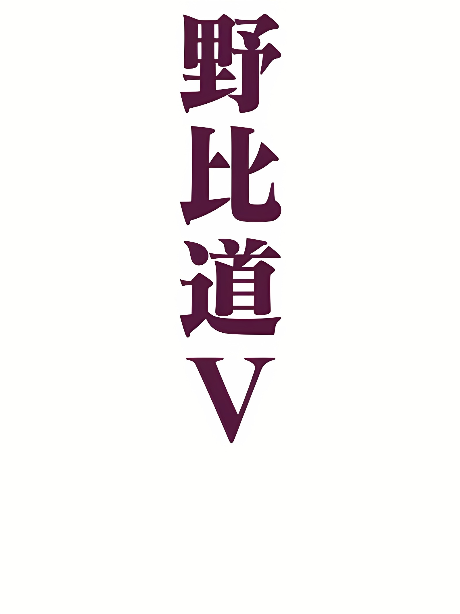 野比道 V