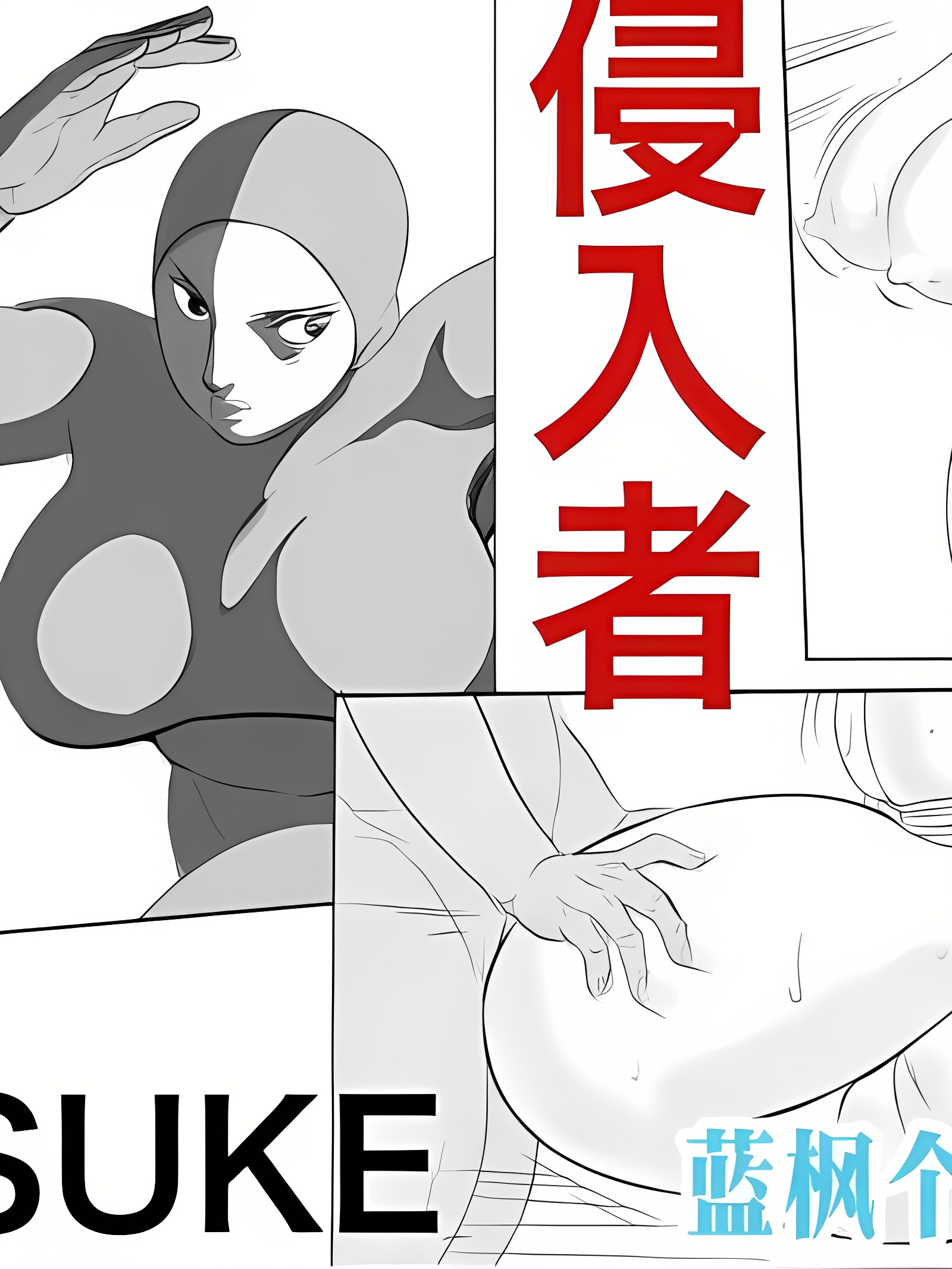 侵入者